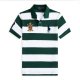 Summer New Men's Slim Fit Polo Shirt with Large Horse Logo, Breathable Mesh, Sweat Absorbent, Business Commuting, Green, S Size