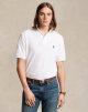 The Iconic Mesh Polo Shirt - All Fits