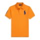 Big Pony Mesh Polo Shirt - All Fits
